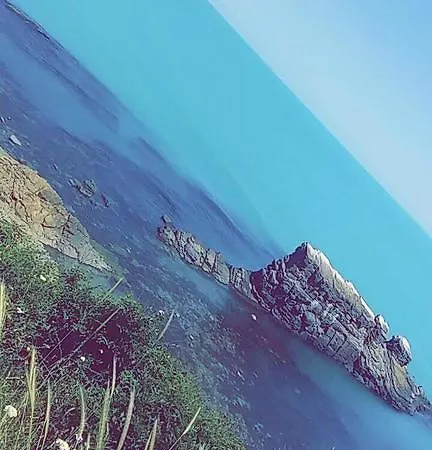 Amarillo *
